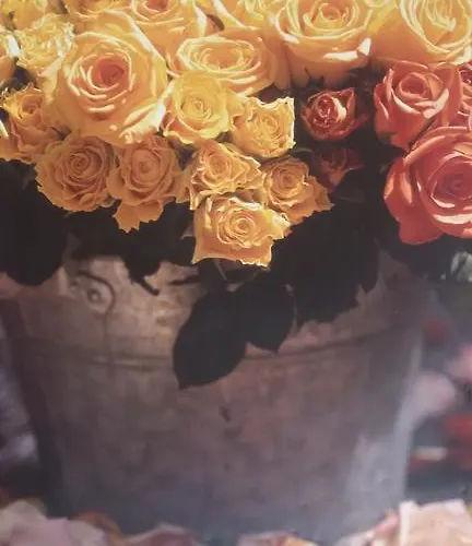 Guest house Guest Filipopol *